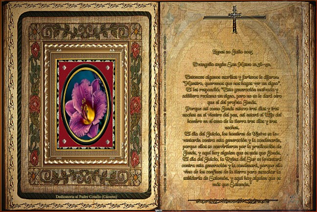 Jose Antonio Cotallo López