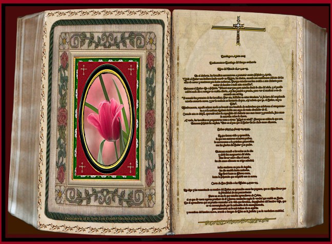 José Antonio Cotallo López