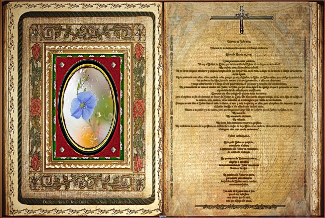 Jose Antonio Cotallo López