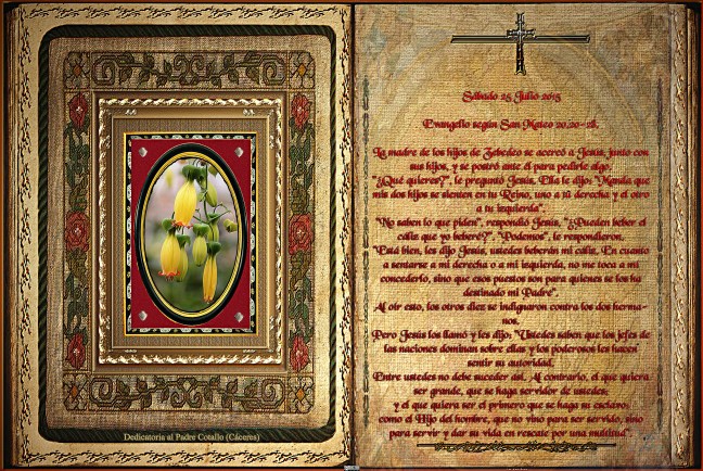 Jose Antonio Cotallo López