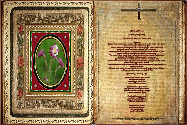 Jose Antonio Cotallo López