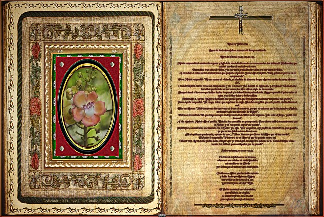  Jose Antonio Cotallo López