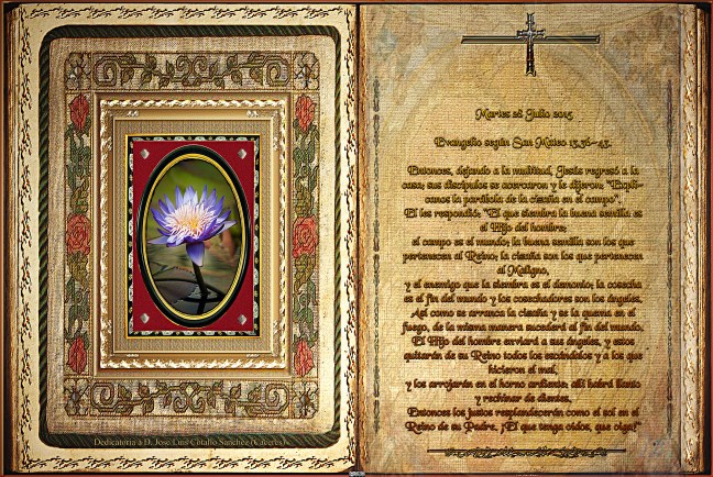  Jose Antonio Cotallo López