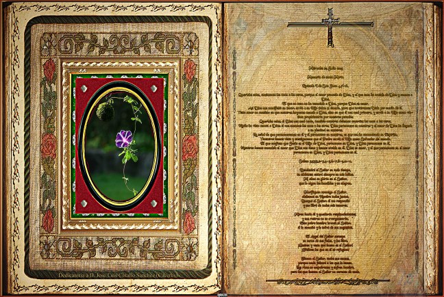 Jose Antonio Cotallo López