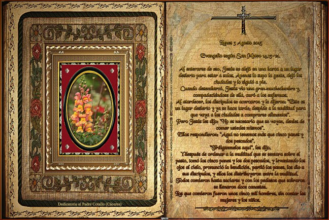 José Antonio Cotallo López