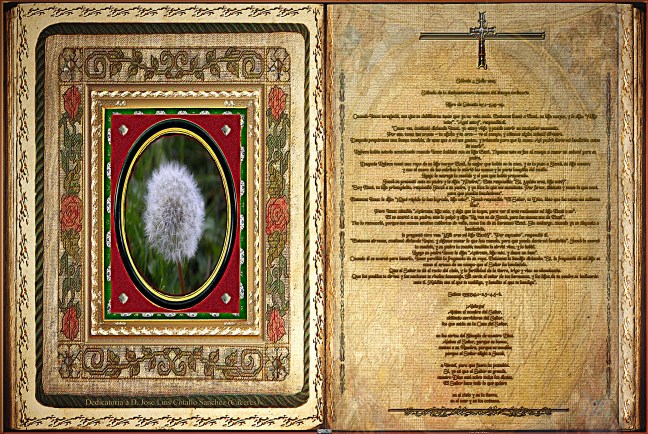 Jose Antonio Cotallo López