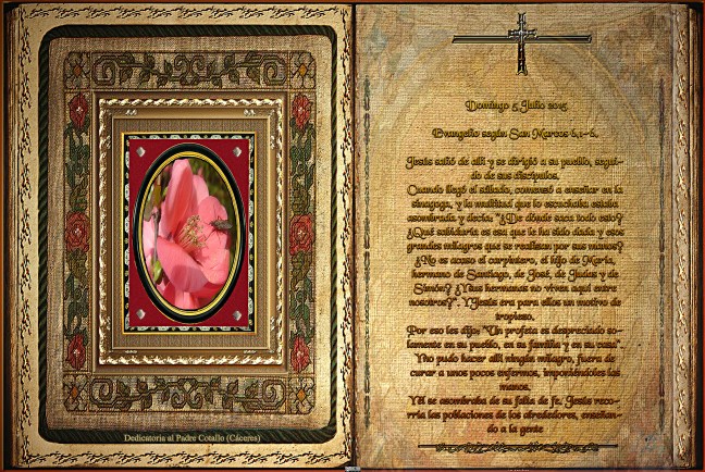 Jose Antonio Cotallo López