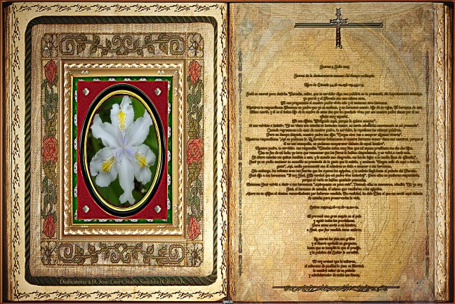 Jose Antonio Cotallo López