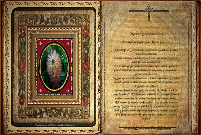 José Antonio Cotallo López