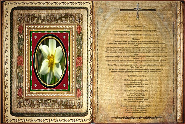 José Antonio Cotallo López