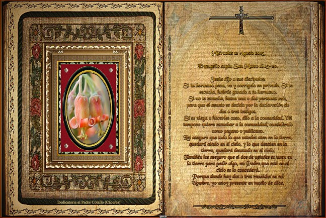 José Antonio Cotallo López