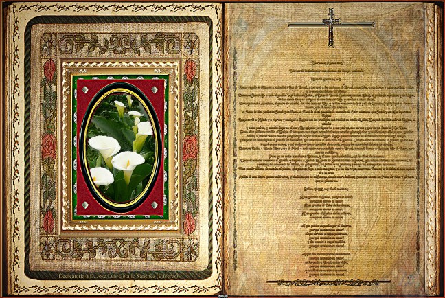 José Antonio Cotallo López