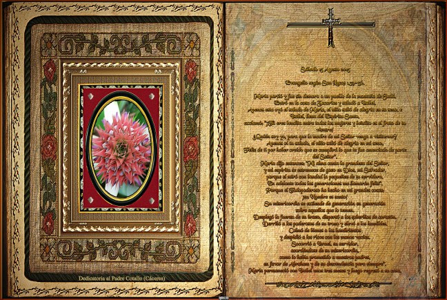 José Antonio Cotallo López