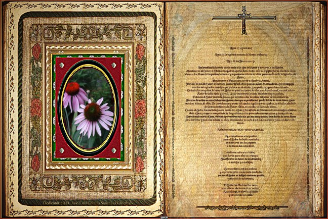 José Antonio Cotallo López