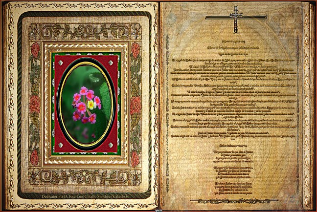 José Antonio Cotallo López