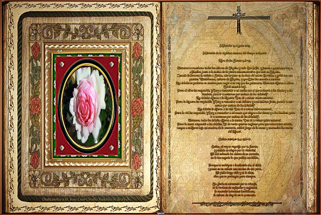 José Antonio Cotallo López