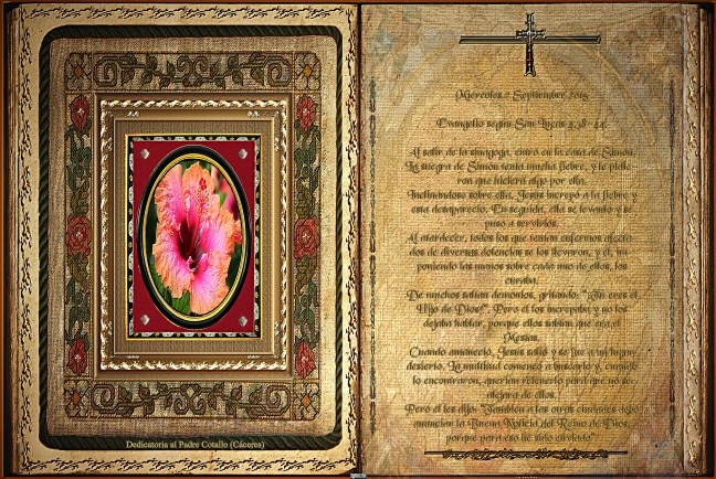 José Antonio Cotallo López