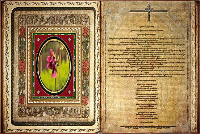 José Antonio Cotallo López