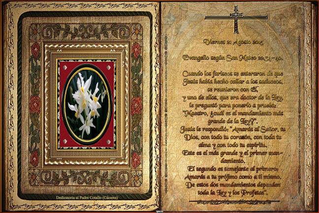 José Antonio Cotallo López