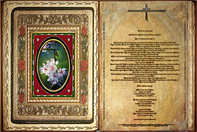 José Antonio Cotallo López