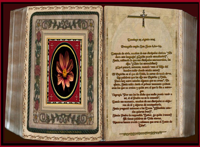 José Antonio Cotallo López