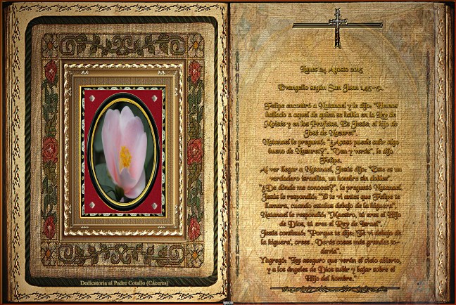 José Antonio Cotallo López