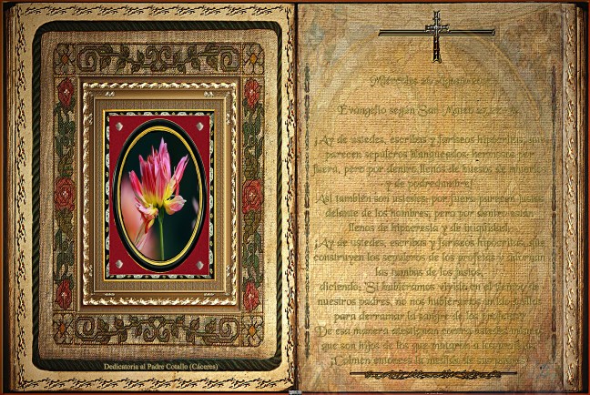 José Antonio Cotallo López