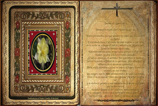 José Antonio Cotallo López