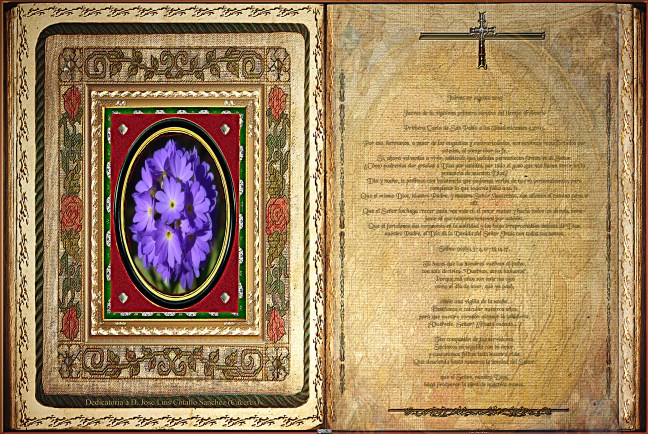 José Antonio Cotallo López