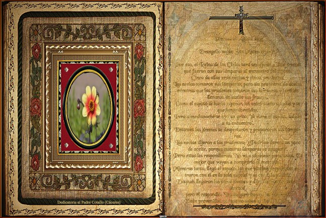 José Antonio Cotallo López