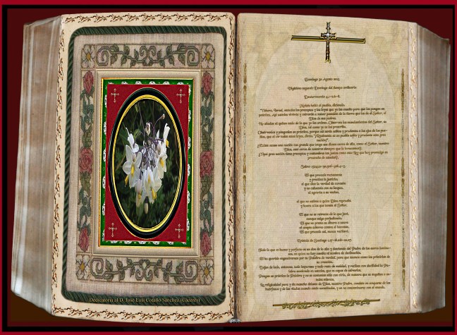 José Antonio Cotallo López