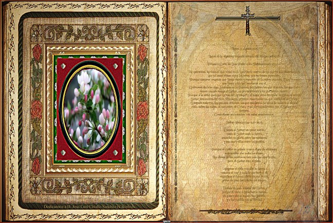 José Antonio Cotallo López