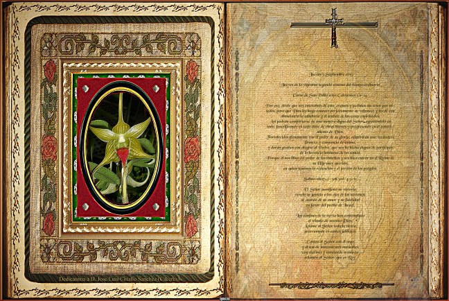 José Antonio Cotallo López