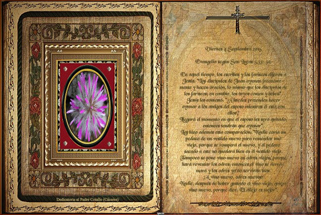 José Antonio Cotallo López