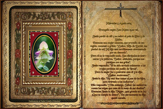 José Antonio Cotallo López