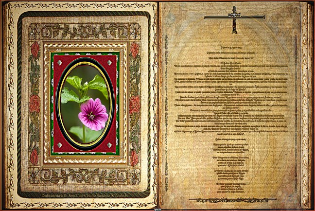 José Antonio Cotallo López