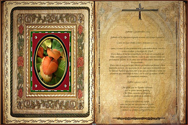 José Antonio Cotallo López