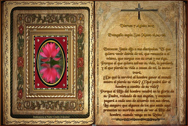 José Antonio Cotallo López