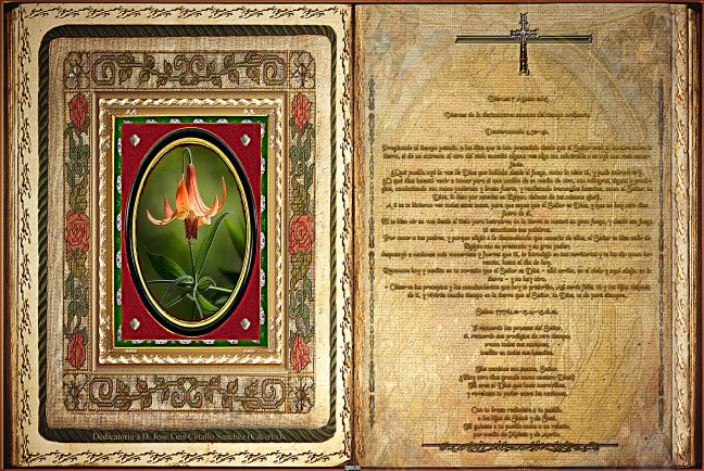 José Antonio Cotallo López