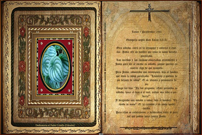 José Antonio Cotallo López