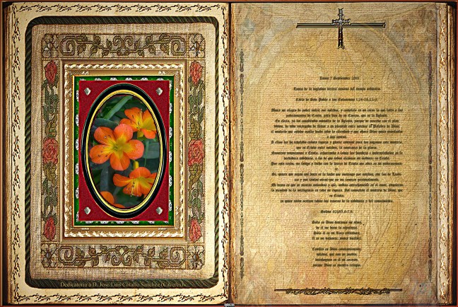 José Antonio Cotallo López