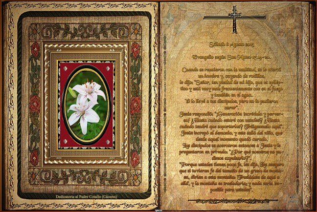 José Antonio Cotallo López