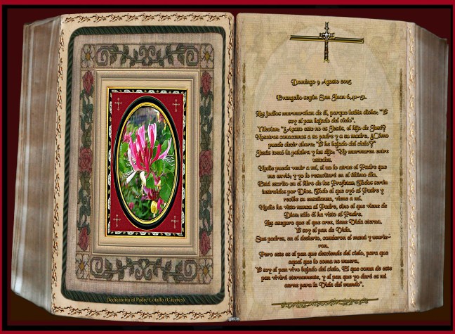 José Antonio Cotallo López