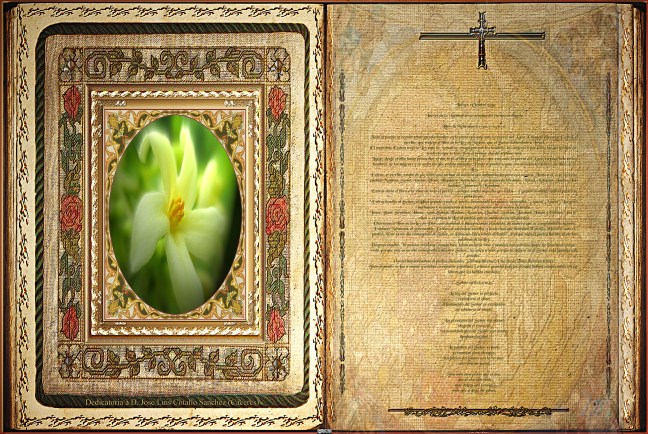 José Antonio Cotallo López