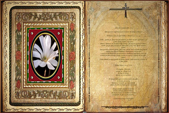 José Antonio Cotallo López