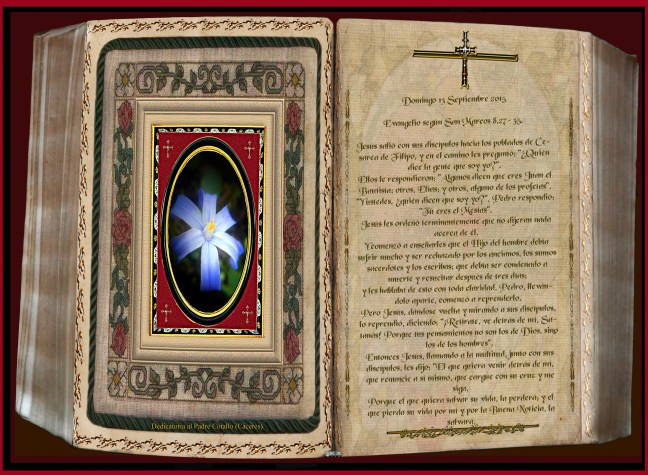 José Antonio Cotallo López