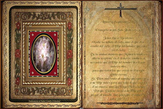  Evangelio según San Juan 3,13-17.  