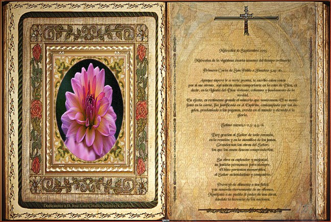 José Antonio Cotallo López