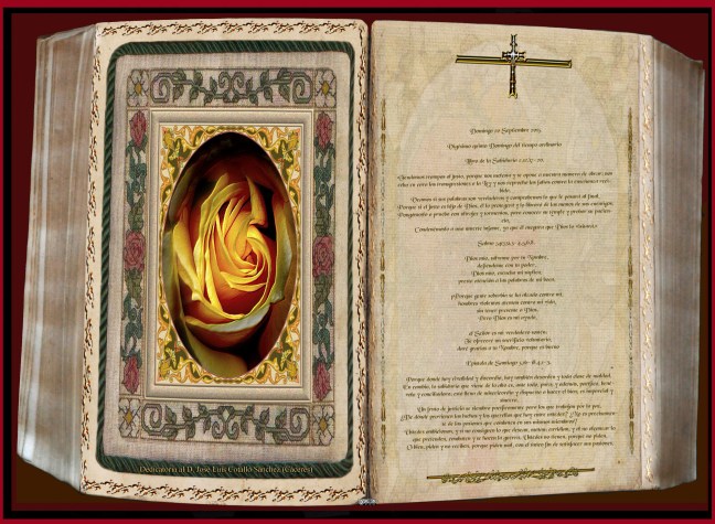 José Antonio Cotallo López