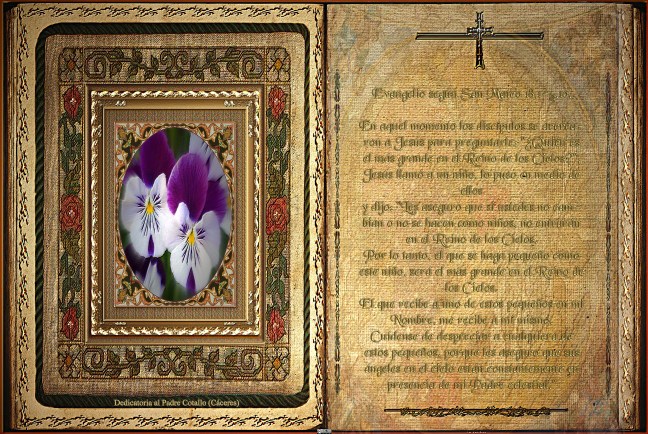 José Antonio Cotallo López